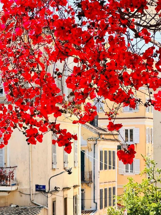 Villa Maria 1 Палеокастрица Екстериор снимка